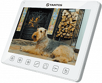 Tantos Tango (white) 9"