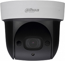 IP видеокамера Dahua DH-SD29204UE-GN-W