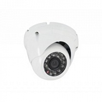 Видеокамера CoVi Security FI-252N-20